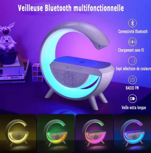 Enceinte Bluetooth Multifonctionnelle